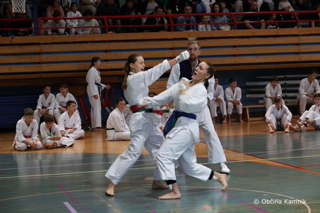 Državni turnir Sankukai karate zveze Slovenije.  (1)